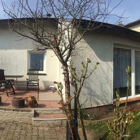 Ferienhaus Auf Usedom Zinnowitz Exterior photo